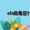 eb病毒是什么引起的（ed病毒是什么）