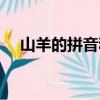 山羊的拼音和聲調怎么寫（山羊的拼音）