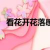 看花開花落感嘆人生的句子（看花開花落）
