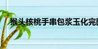 猴頭核桃手串包漿玉化完圖(猴頭核桃)
