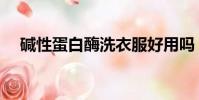 堿性蛋白酶洗衣服好用嗎(堿性蛋白酶)