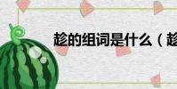 趁的組詞是什么(趁的組詞)