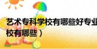 藝術專科學校有哪些好專業排名(藝術專科學校有哪些)