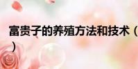 富貴子的養殖方法和技術(富貴子的養殖方法)