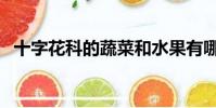 十字花科的蔬菜和水果有哪些(十字花科)