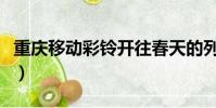 重慶移動彩鈴開往春天的列車(重慶移動彩鈴)