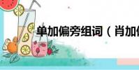 單加偏旁組詞(肖加偏旁組詞)