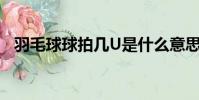 羽毛球球拍幾U是什么意思(羽毛球球拍)