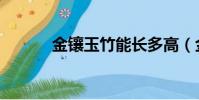 金鑲玉竹能長多高(金鑲玉竹)