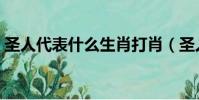 圣人代表什么生肖打肖(圣人代表什么生肖)