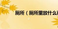 廁所(廁所里放什么藥不長蛆)