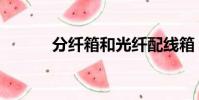 分纖箱和光纖配線箱(分纖箱)
