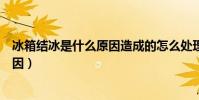 冰箱結冰是什么原因造成的怎么處理(冰箱老結冰是什么原因)