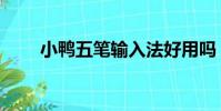 小鴨五筆輸入法好用嗎(小鴨五筆)