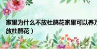 家里為什么不放杜鵑花家里可以養萬年紅嗎(家里為什么不放杜鵑花)