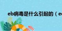 eb病毒是什么引起的(ed病毒是什么)