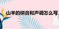 山羊的拼音和聲調怎么寫(山羊的拼音)