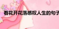 看花開花落感嘆人生的句子(看花開花落)