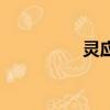 靈應寺的來歷（靈應寺）