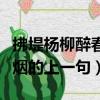 拂堤楊柳醉春煙的上一句是什（拂堤楊柳醉春煙的上一句）