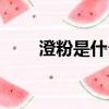 澄粉是什么粉（缽仔糕粉是什么粉）