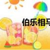 伯樂相馬文言文原文（伯樂相馬）