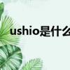 ushio是什么牌子（ushi是什么品牌男裝）