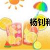 楊釗和楊玉環的關系（楊釗）