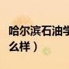 哈爾濱石油學院口碑知乎（哈爾濱石油學院怎么樣）