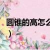 圓錐的高怎么求公式六年級（圓錐的高怎么求）
