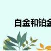白金和鉑金哪個價錢貴（白金和鉑金）
