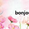 bonjour什么意思（bonjour）