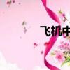 飛機中單符文（lol飛機符文）