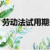 勞動法試用期規定辭退（勞動法試用期規定）