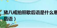 豬八戒拍照歇后語是什么意思(豬八戒拍照歇后語)
