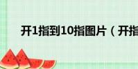 開1指到10指圖片(開指是什么感覺)