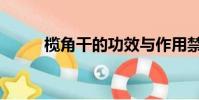 欖角干的功效與作用禁忌(欖角)