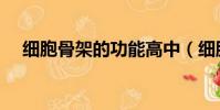 細胞骨架的功能高中(細胞骨架的功能)