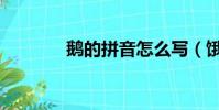 鵝的拼音怎么寫(餓的拼音)