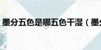 墨分五色是哪五色干濕(墨分五色是哪五色)