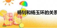 楊釗和楊玉環的關系(楊釗)