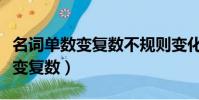 名詞單數變復數不規則變化有哪些(名詞單數變復數)