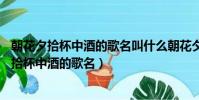 朝花夕拾杯中酒的歌名叫什么朝花夕拾讀后感40字(朝花夕拾杯中酒的歌名)
