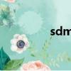 sdms-993（sdms 604）