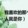 我喜歡的那個人就是你小說3（我喜歡的那個人就是你）