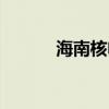 海南核電真實待遇（海南核電）