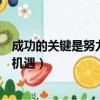 成功的關鍵是努力還是機遇辯論稿（成功的關鍵是努力還是機遇）