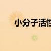 小分孑活性肽的功效（小分子活性肽）