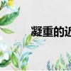 凝重的近義詞語（凝重的近義詞）