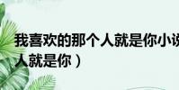 我喜歡的那個人就是你小說3(我喜歡的那個人就是你)